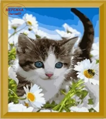 Фото алмазна мозаїка Пізнаю світ