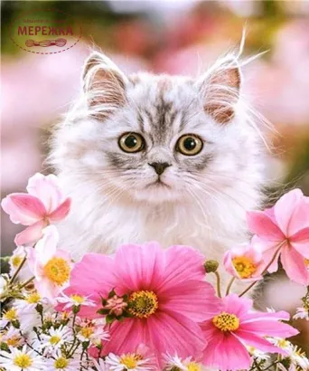 Фото алмазна мозаїка Як квіточка