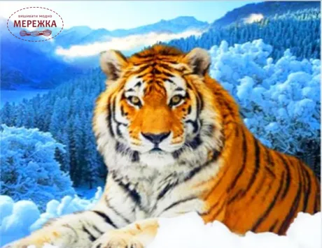 Фото алмазна мозаїка Хоробре серце