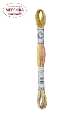 Фото DMC Муліне Coloris 4508