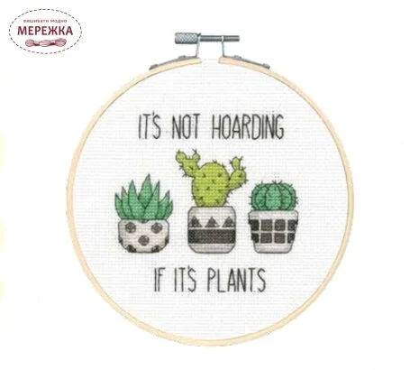 Фото Dimensions Кактуси 72-76919