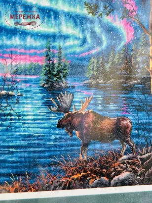 Фото Набір для вишивання хрестиком Dimensions Northern Night (Північна ніч) 70-35312