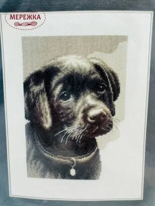 Фото Vervaco Цуценя Лабрадора PN-0158080