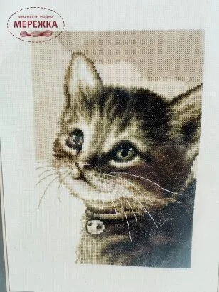 Фото Vervaco Кошеня PN-0158081