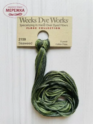 Муліне ручного фарбування Weeks Dye Works Seaweed 2159 фото