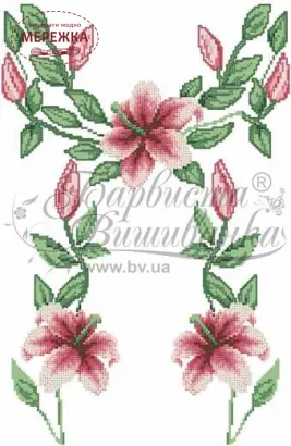 БЖ002 Барвиста Вишиванка