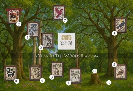Фото Cottage Garden Samplings The Skunk. A Year in the Woods II #10 CGS-1135