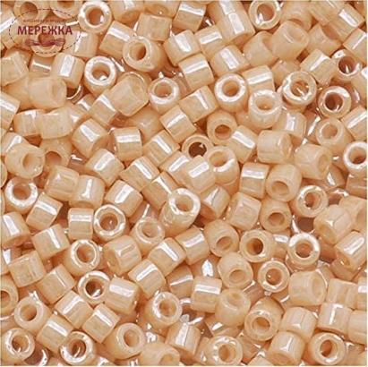 Фото Бісер MIYUKI Delica Beads 11/0, 6,25 гр. DB-205