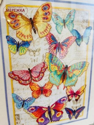 Зображення набору Dimensions Краса метеликів 70-35338