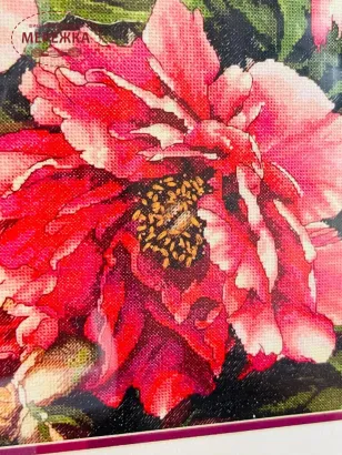 Фото набір для вишивання Діменшинз Коралові піони 70-35298