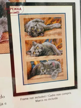 Фото набір для вишивання Діменшинз Кіт Макс