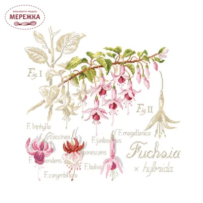 Фото Les Brodeuses Parisiennes Схема Etude au Fuchsia+тканина, пришивний шарм EFUL/CRE