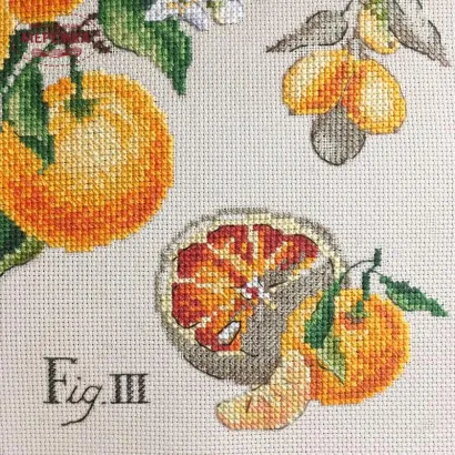 Фото Les Brodeuses Parisiennes Схема Etude aux Agrumes+тканина, пришивний шарм EAGL/CRE