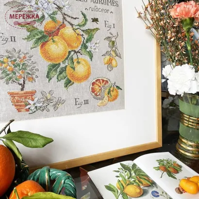 Фото Les Brodeuses Parisiennes Схема Etude aux Agrumes+тканина, пришивний шарм EAGL/CRE