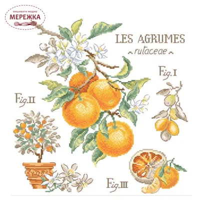 Фото Les Brodeuses Parisiennes Схема Etude aux Agrumes+тканина, пришивний шарм EAGL/CRE