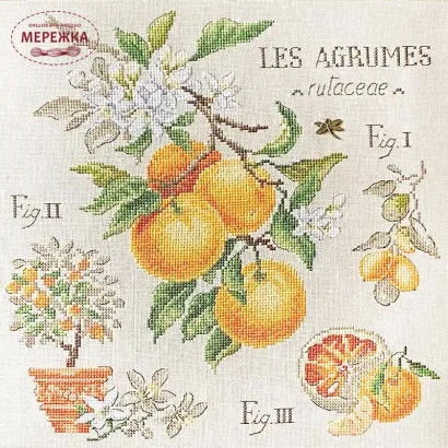 Фото Les Brodeuses Parisiennes Схема Etude aux Agrumes+тканина, пришивний шарм EAGL/CRE