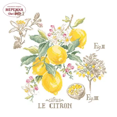 Фото Les Brodeuses Parisiennes Схема Etude aux Citrons+тканина, пришивний шарм ECIL/CRE