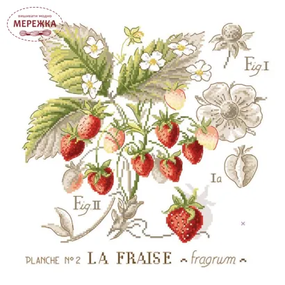 Фото Les Brodeuses Parisiennes Схема Etude aux Fraises+тканина, пришивний шарм EFL/CRE
