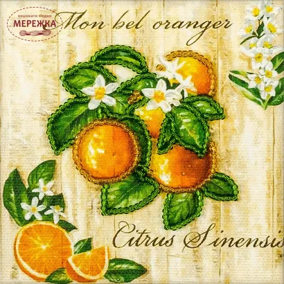 Фото магніт FLA-063