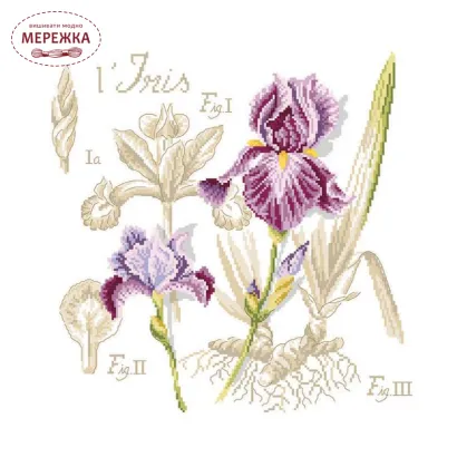 Фото Les Brodeuses Parisiennes Схема Etude a la Iris+тканина, пришивний шарм