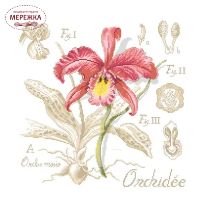 Фото Les Brodeuses Parisiennes Схема Etude a la Orchidee+тканина, пришивний шарм