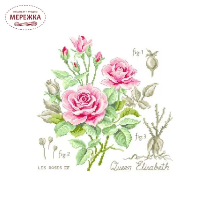 Фото Les Brodeuses Parisiennes Схема Etude a la rose "Queen Elizabeth"+тканина, пришивний шарм