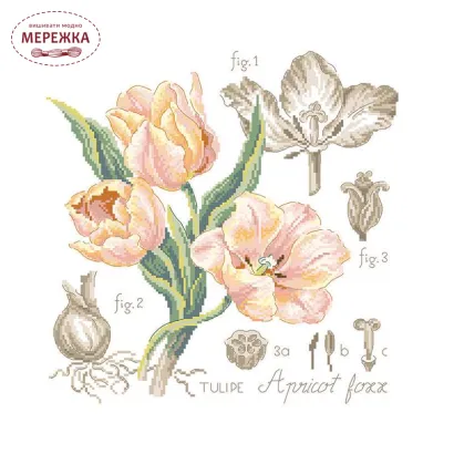 Фото Les Brodeuses Parisiennes Схема Etude a la Tulipe+тканина, пришивний шарм