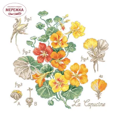 Фото Les Brodeuses Parisiennes Схема Etude aux Capucines+тканина, пришивний шарм