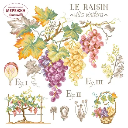 Фото Les Brodeuses Parisiennes Схема Etude aux "Raisins"+тканина, пришивний шарм EARL/CRE