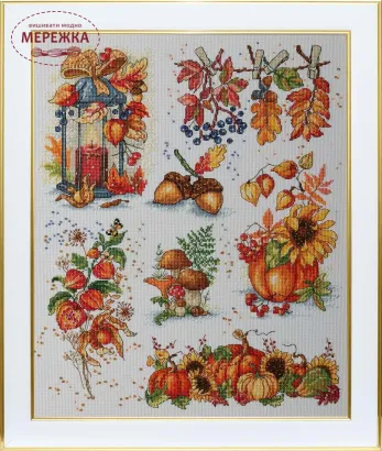 Фото ВДВ Осінній вернісаж М-0294