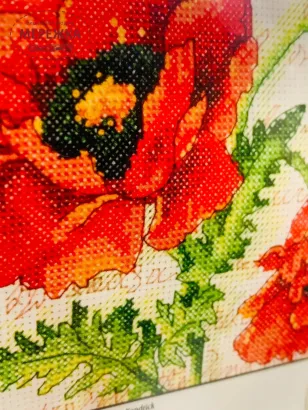 Фото набір Пара маків